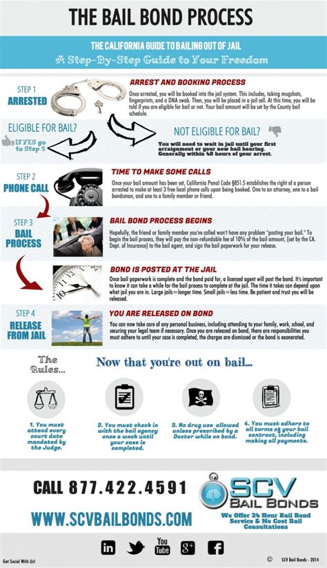 bail bond guide|The New Bail Bond Guide .